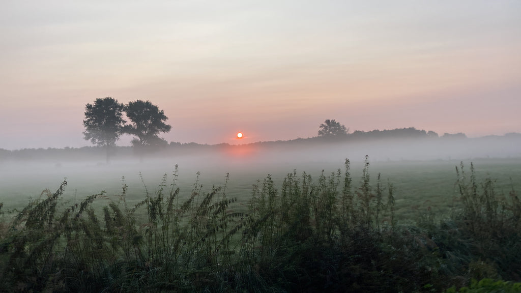 Planwagenfahrten und oder Weinwanderung