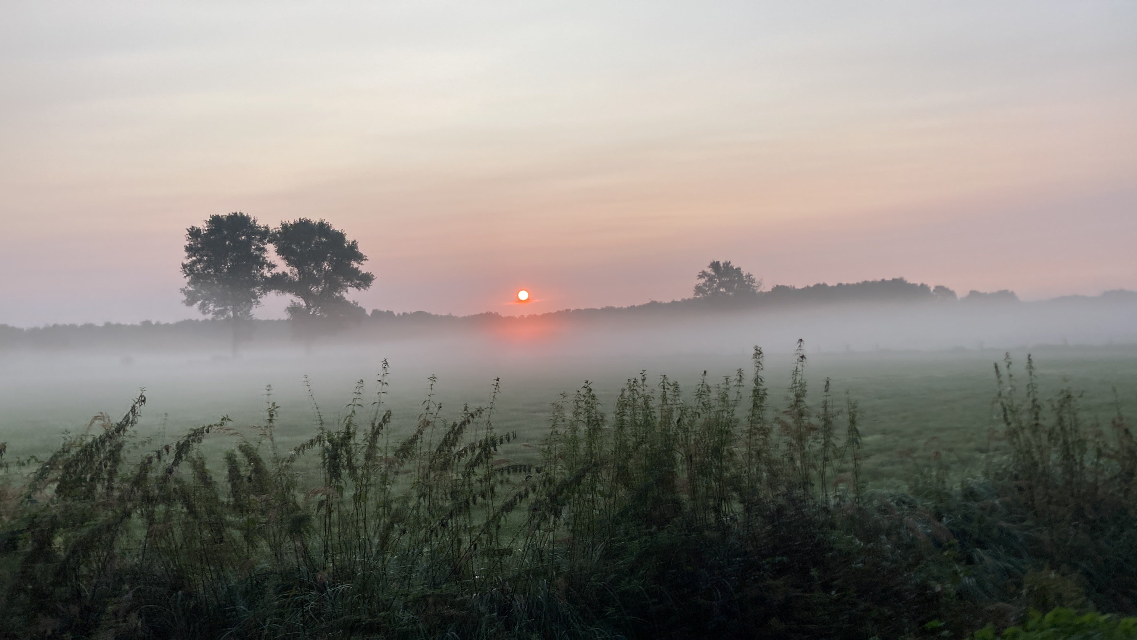 Planwagenfahrten und oder Weinwanderung