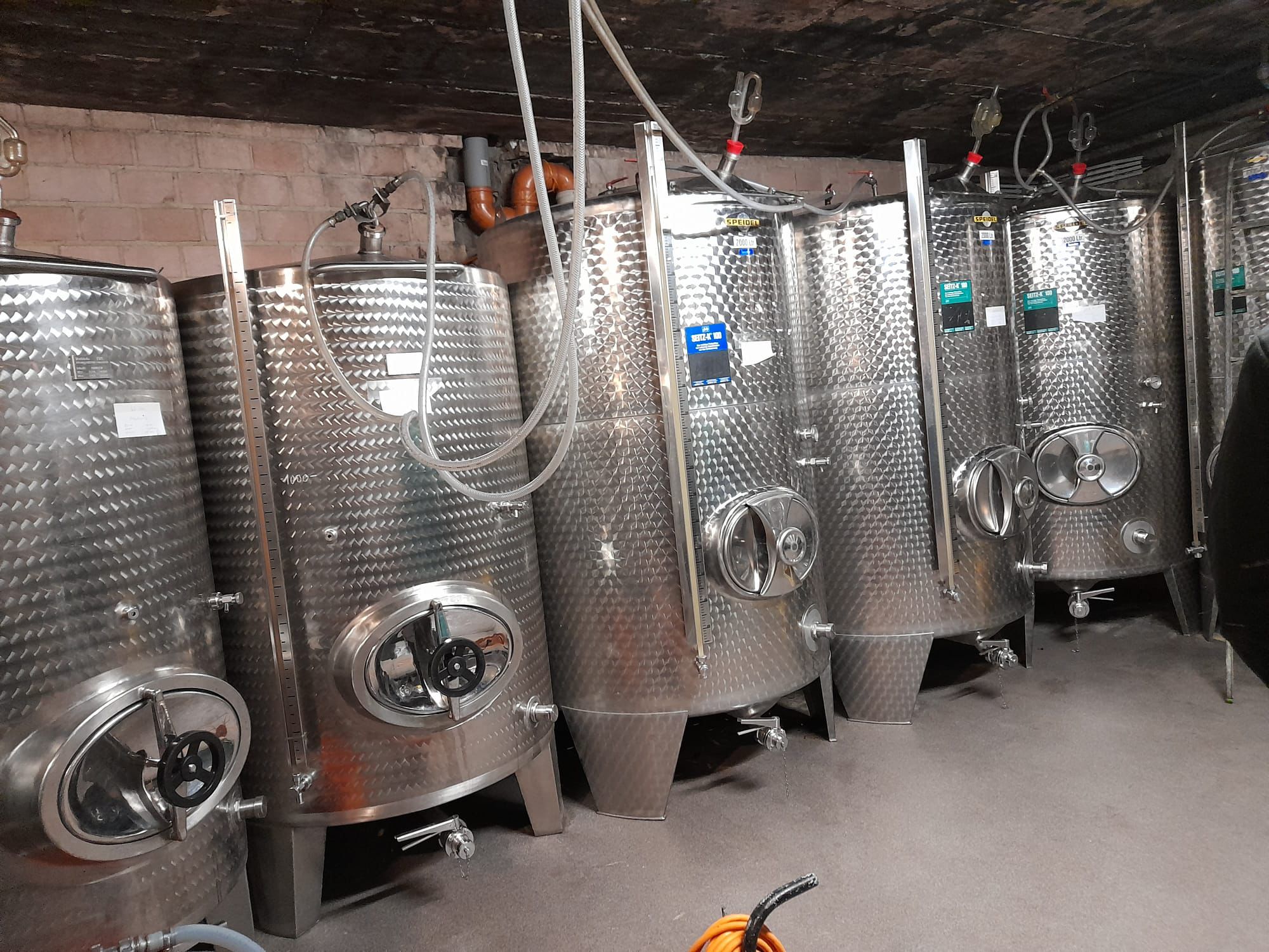 Planwagenfahrten und oder Weinwanderung
