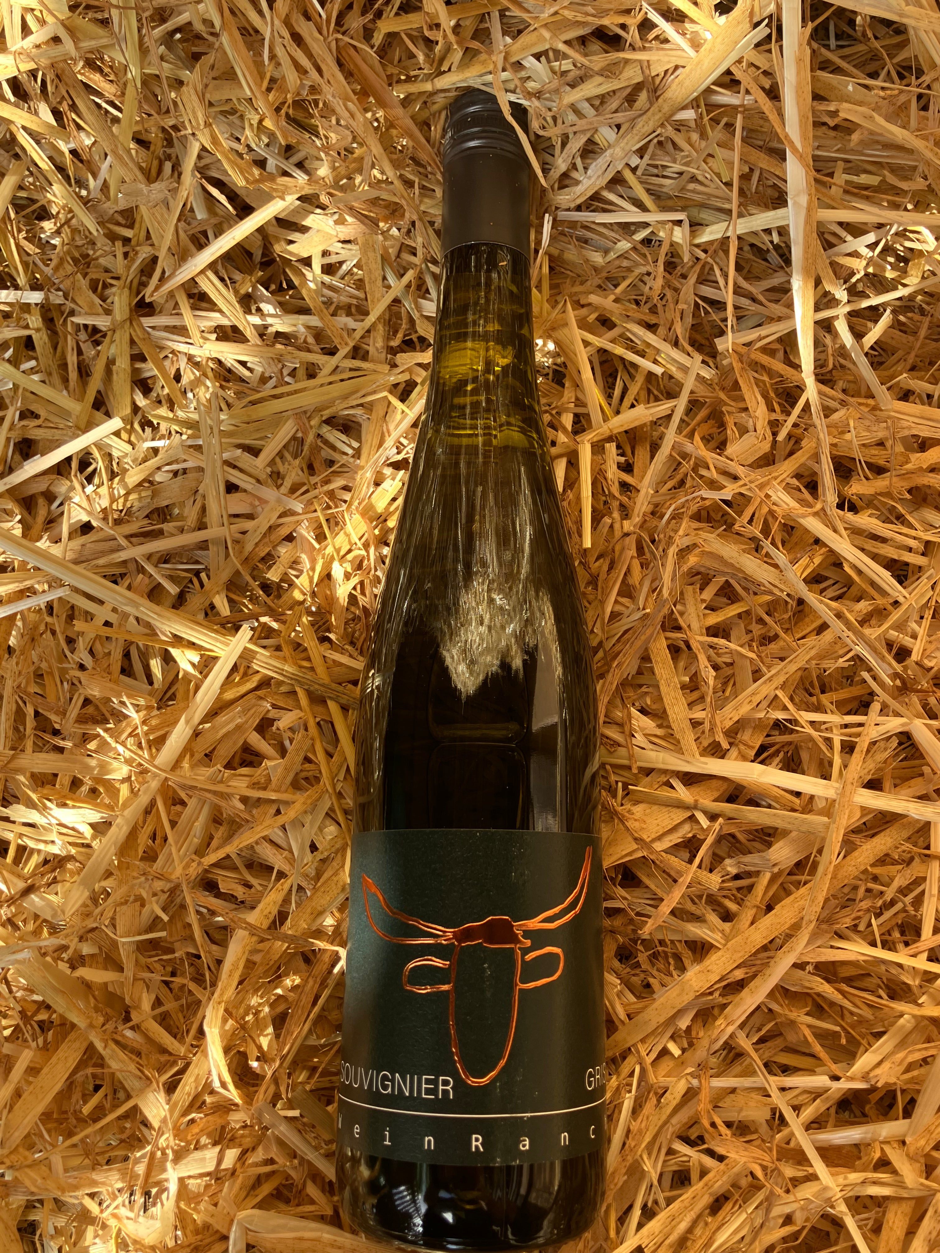 Sauvignier Gris