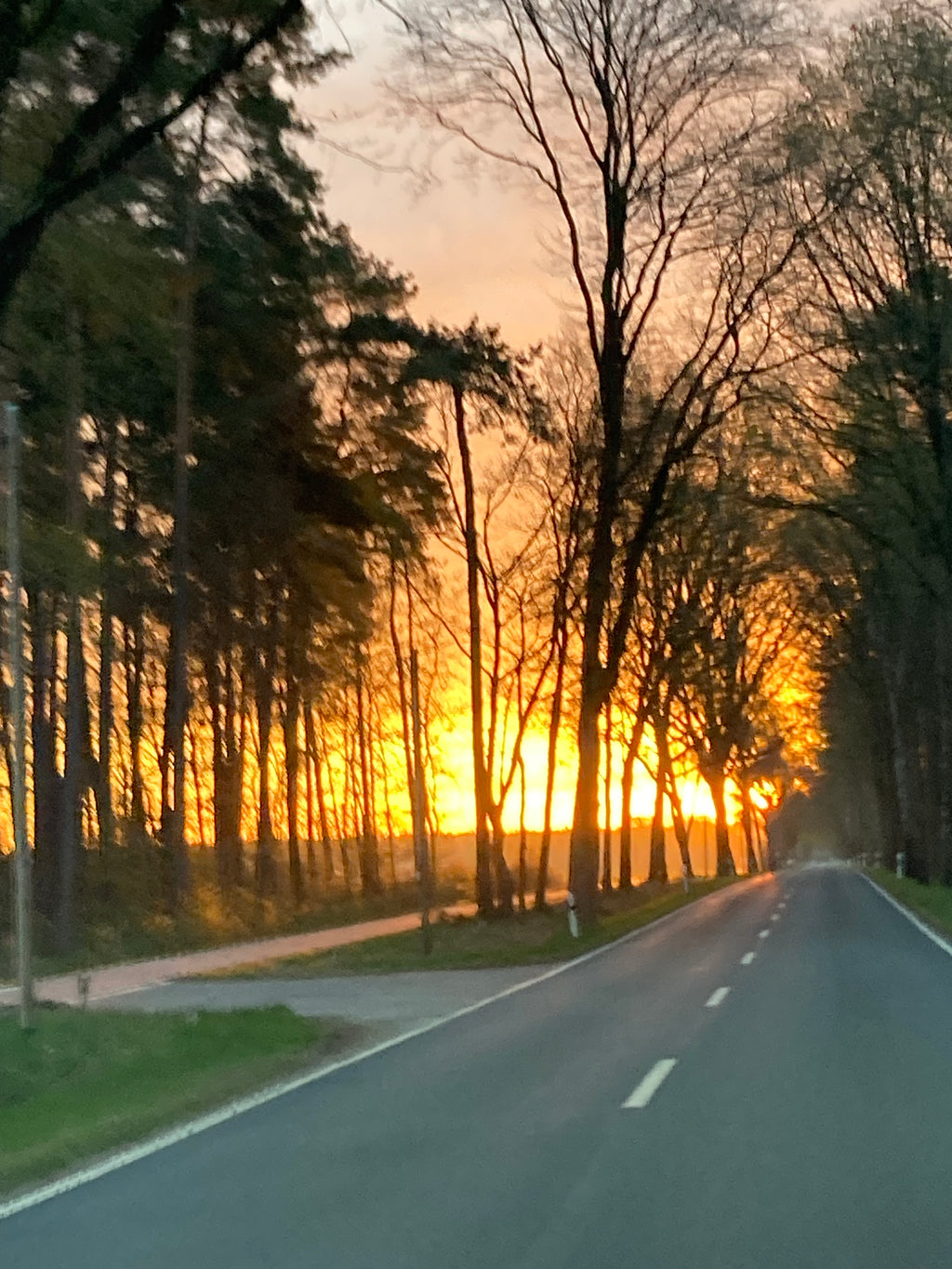 Planwagenfahrten und oder Weinwanderung